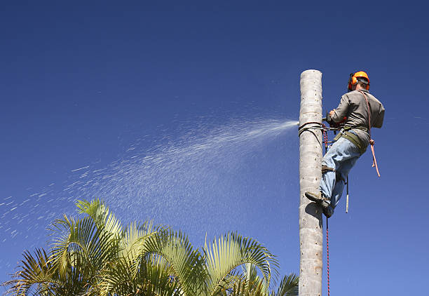 Best Lawn Irrigation Installation and Maintenance  in Sanford, ME